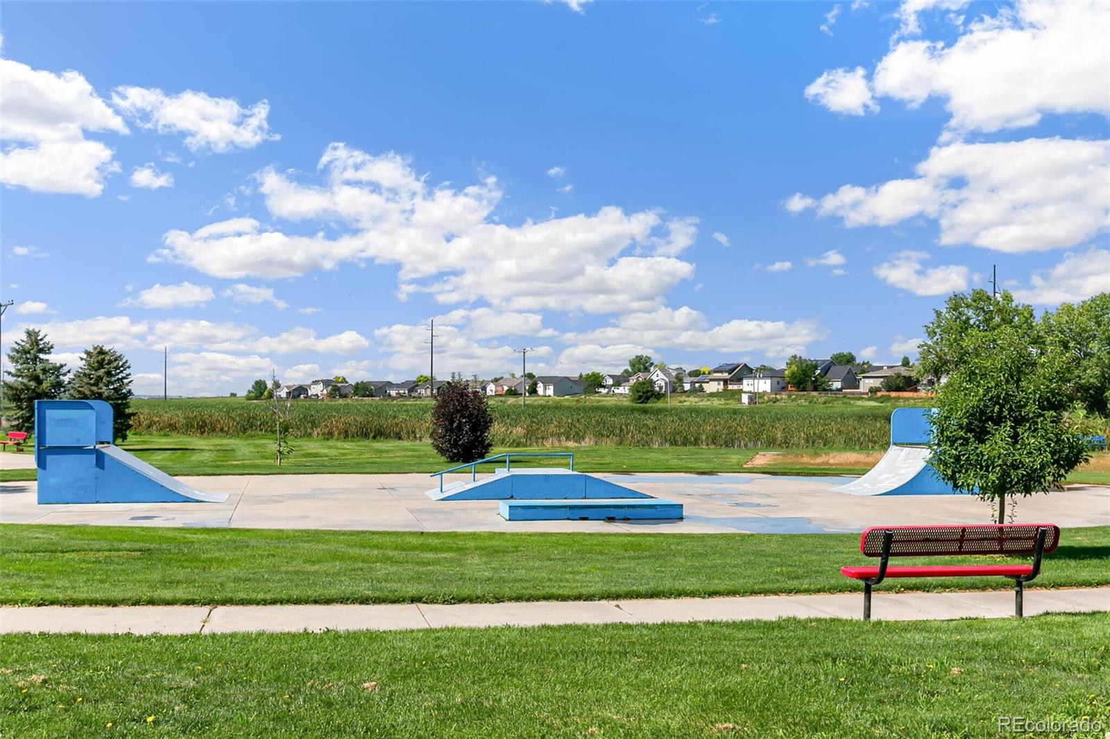 219 Haymaker Lane Severance, CO 80550 - Photo 41 of 44 a view of a park with large trees