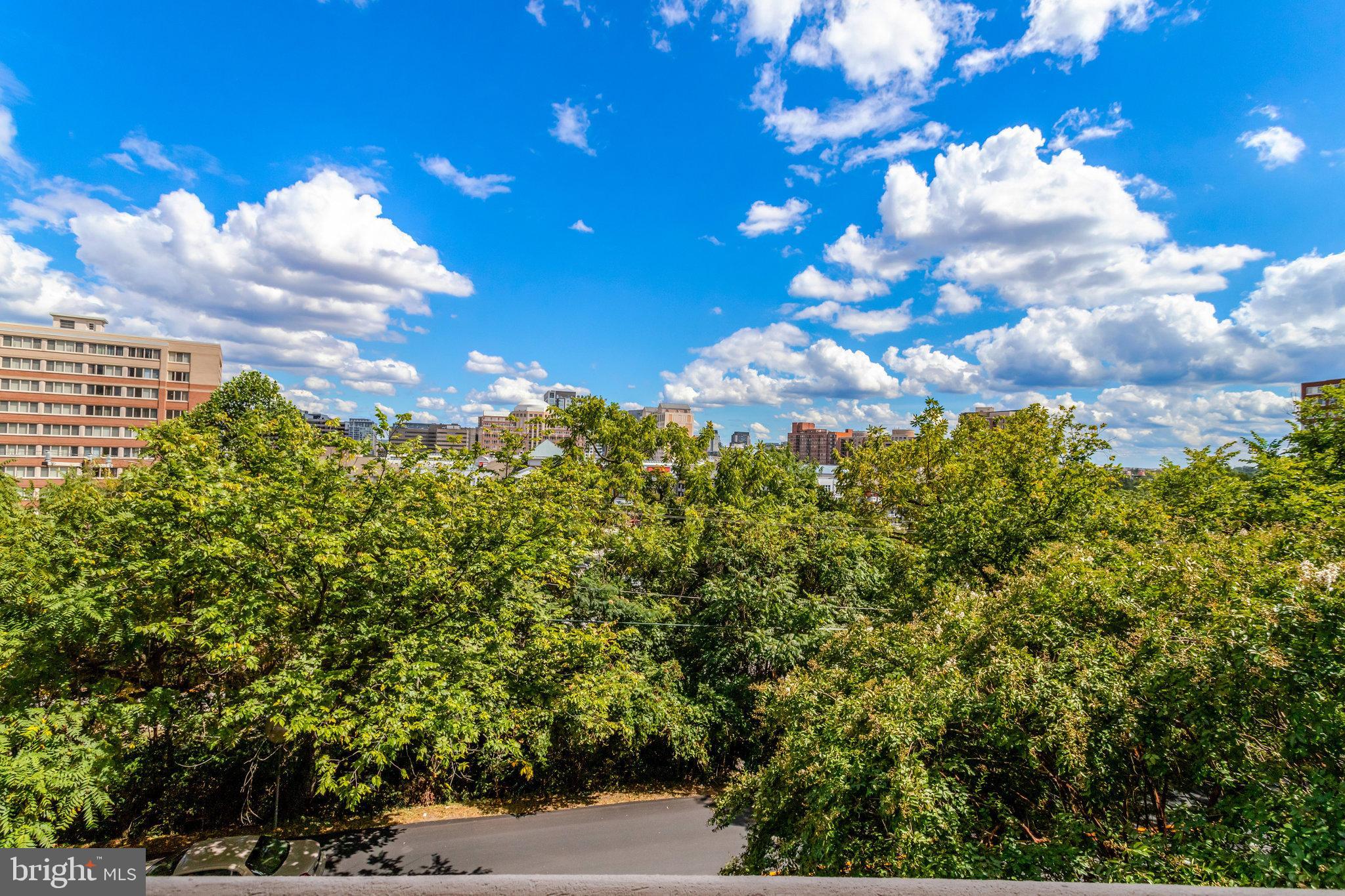 1101 South Arlington Ridge Road, Unit 112 Arlington, VA 22202 - Photo 3 of 17 Gallery Image 3