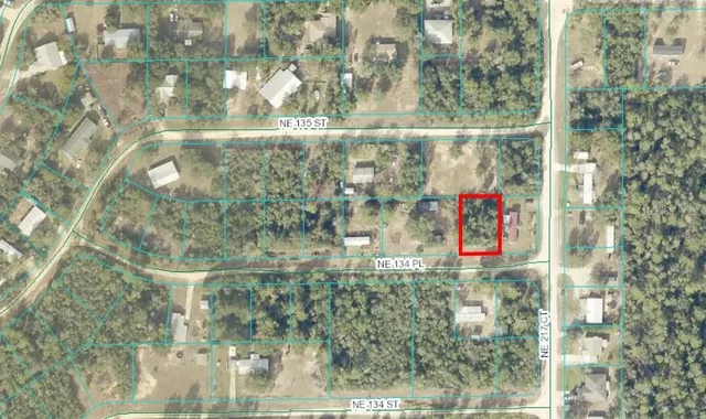 $17,500 | 134 Northeast Ne Place, Salt Springs, FL 32134