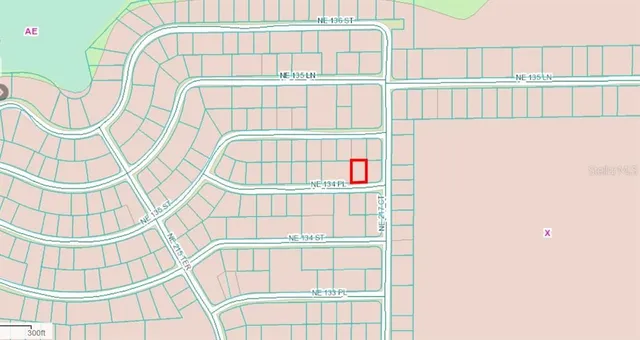 $17,500 | 134 Northeast Ne Place, Salt Springs, FL 32134