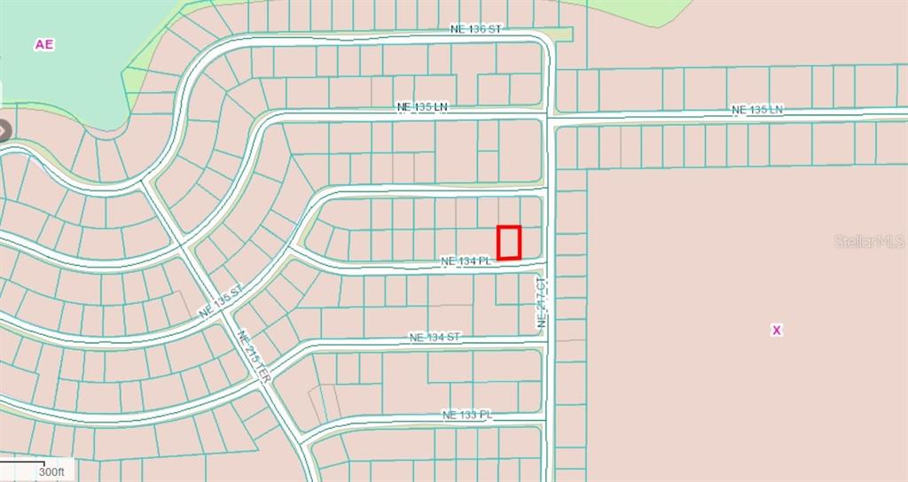 134 Northeast Ne Place Salt Springs, FL 32134 - Photo 3 of 5