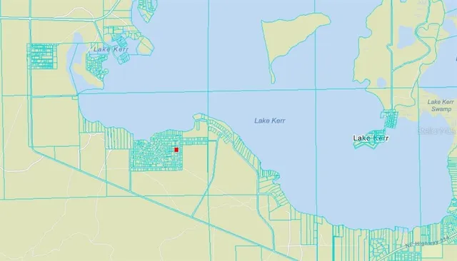 $17,500 | 134 Northeast Ne Place, Salt Springs, FL 32134
