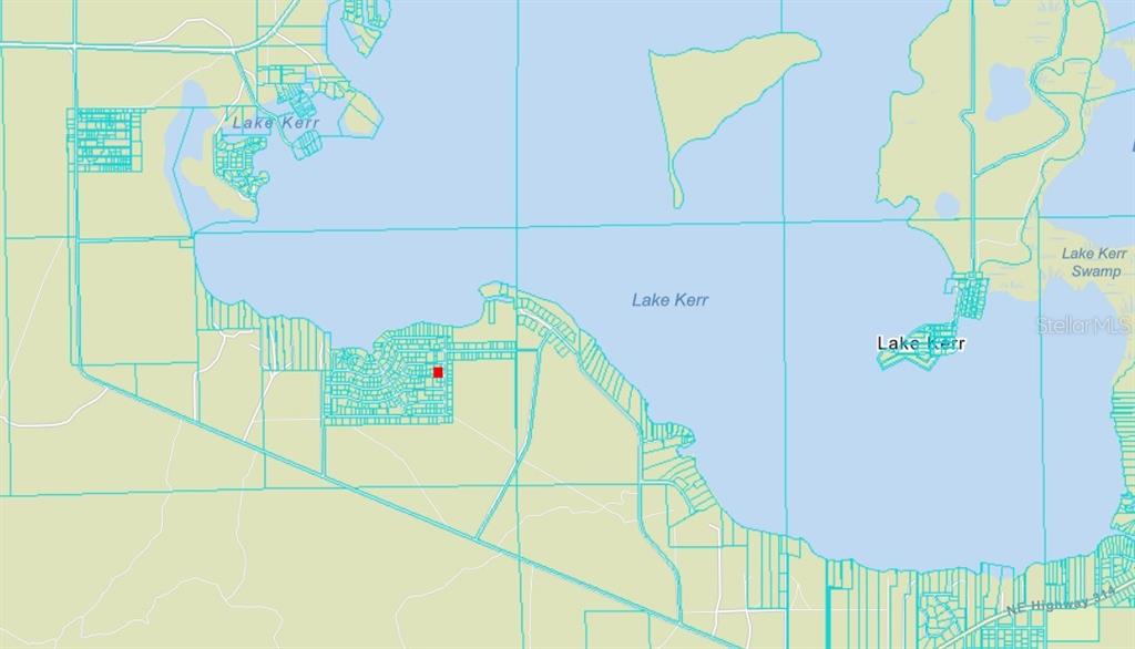 134 Northeast Ne Place Salt Springs, FL 32134 - Photo 4 of 5