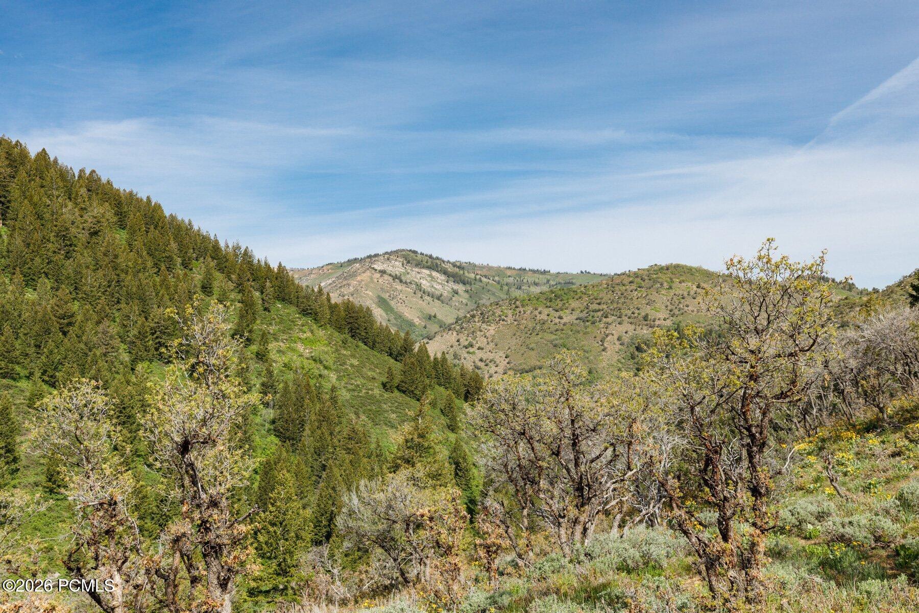 40 Sunridge Ranch Huntsville, UT 84317 - Photo 21 of 36 Gallery Image 21