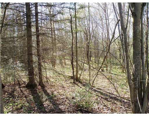 0 River Road Sebec, ME 04481 - Photo 6 of 15 Land/Lot. Interior