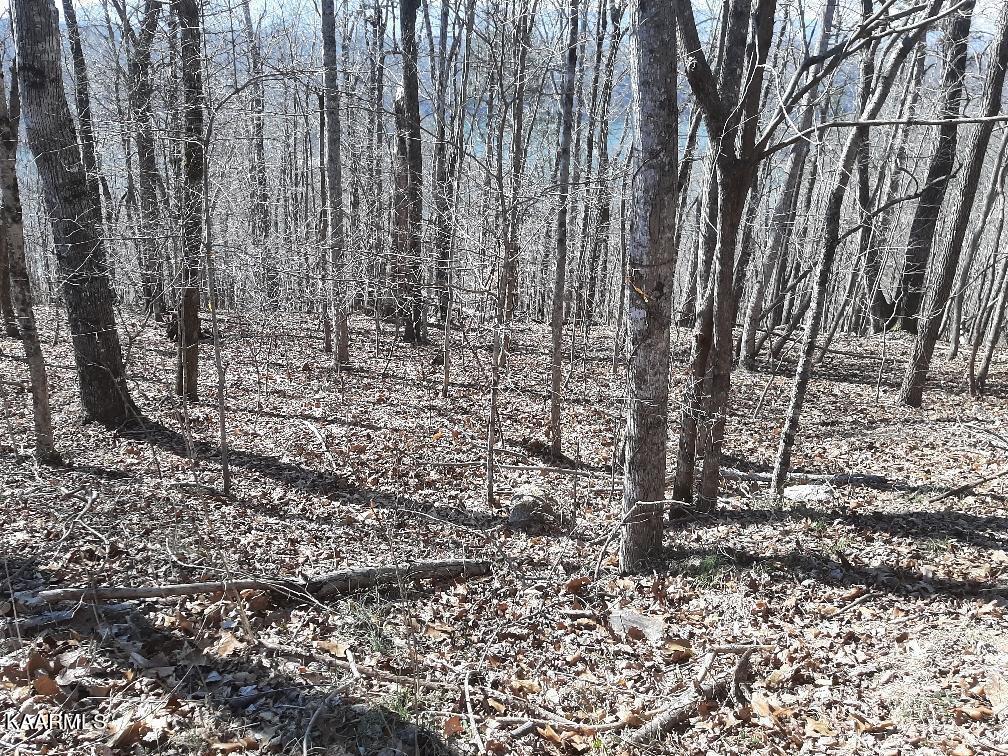 Bankhill Road La Follette, TN 37766 - Photo 12 of 13 A4C3E7DD-9056-4B08-9210-FE128110D973