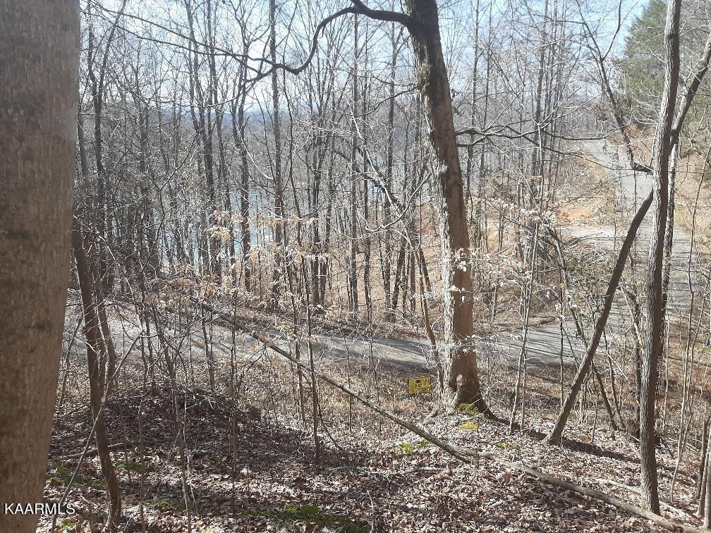 Bankhill Road La Follette, TN 37766 - Photo 2 of 13 39654CDF-0611-49AD-B133-B65711E24AFD