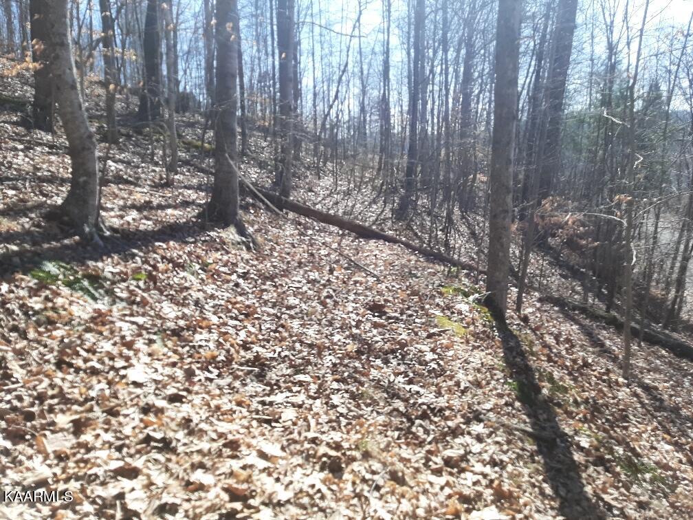Bankhill Road La Follette, TN 37766 - Photo 3 of 13 23D51DF0-E5CF-473F-87B0-04BB01500B23