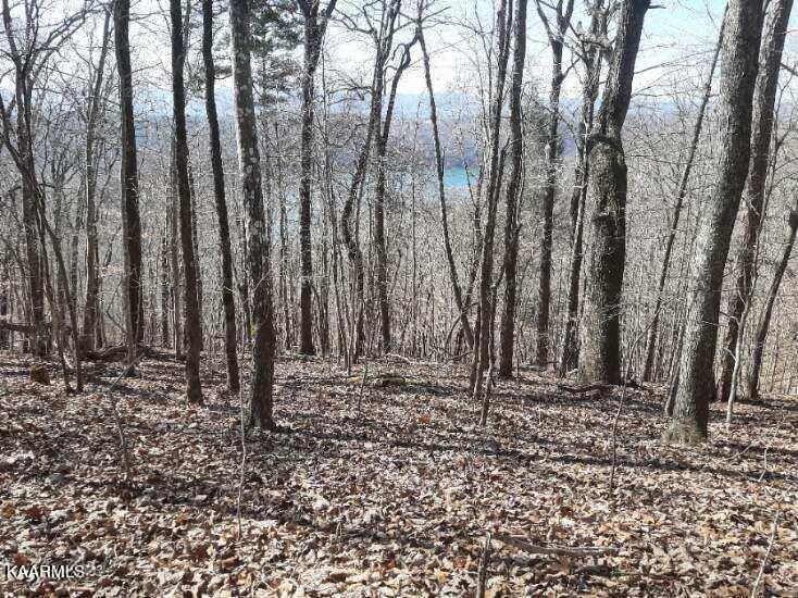Bankhill Road La Follette, TN 37766 - Photo 5 of 13 EF76E1B3-476B-4F8B-931C-73CA8AEA09BD