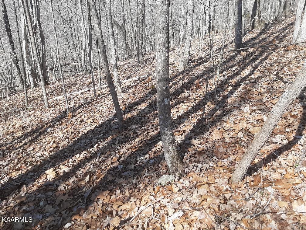 Bankhill Road La Follette, TN 37766 - Photo 6 of 13 78ADAB9A-E3FE-47D7-9D6E-BA14C83A7C98