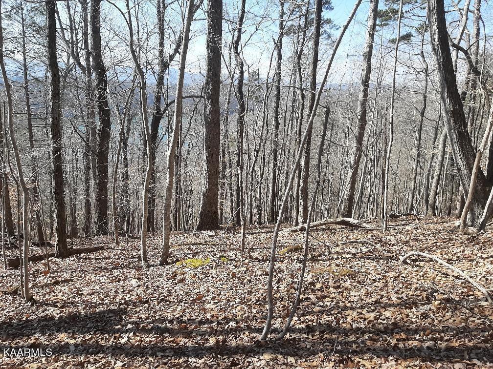 Bankhill Road La Follette, TN 37766 - Photo 8 of 13 0DF07750-0F28-4AE8-9137-A464874B4DB4