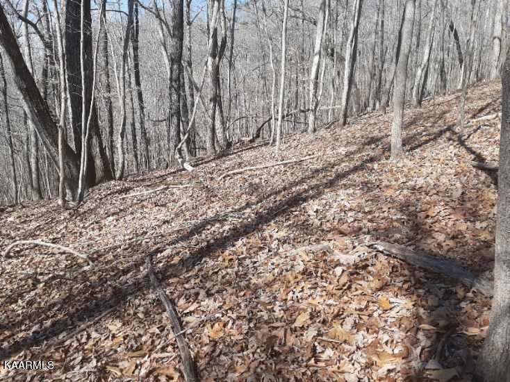 Bankhill Road La Follette, TN 37766 - Photo 9 of 13 88F3E25D-1CE0-4B45-B806-0ED838CEC44D