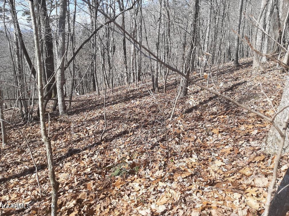 Bankhill Road La Follette, TN 37766 - Photo 10 of 13 B8076189-70E8-4205-9193-781189547B02