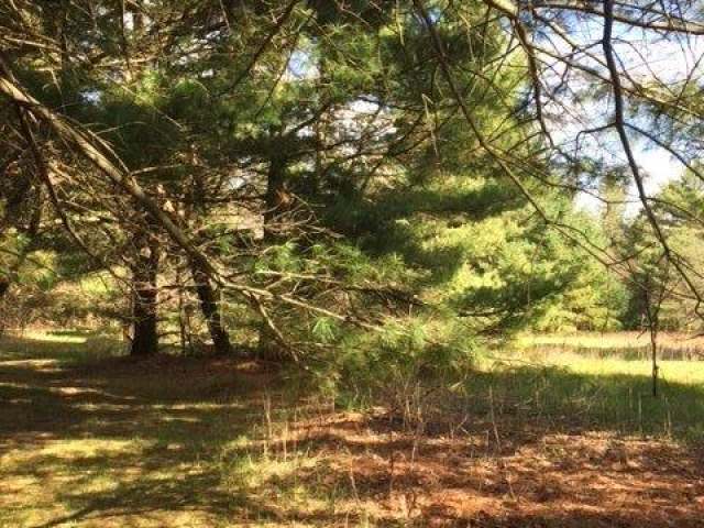 On Hall Road, Unit LOT 2 Woodruff, WI 54568 - Photo 12 of 12 Gallery Image 12