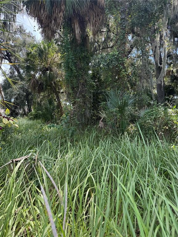 0 Medulla Road Lakeland, FL 33811 - Photo 2 of 7 Gallery Image 2