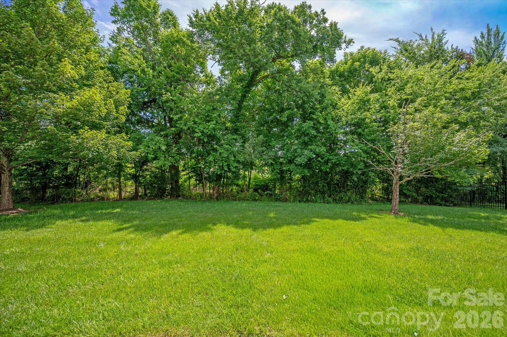 6507 Springs Mill Road Charlotte, NC 28277 - Photo 43 of 48