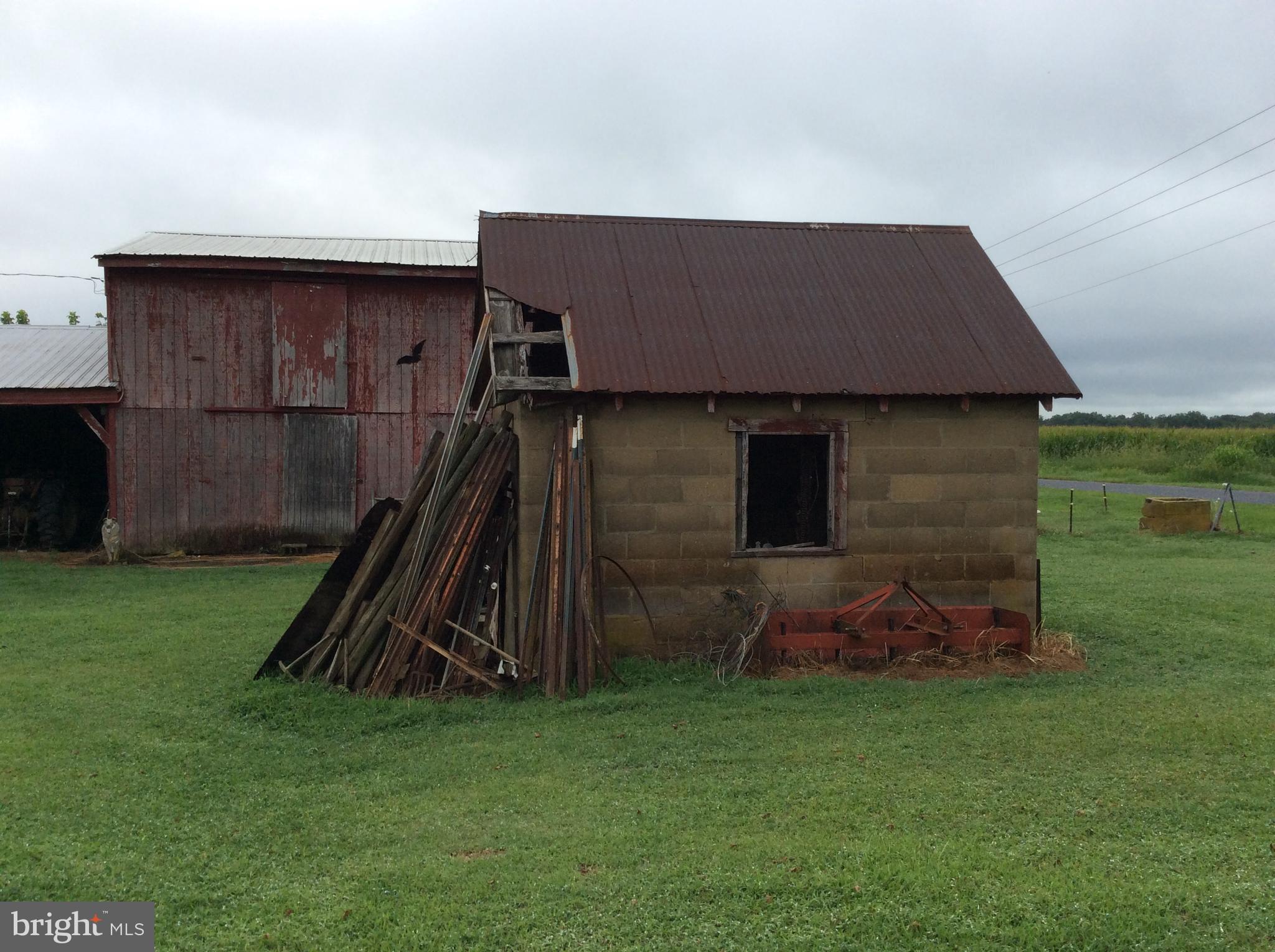 115 Shine Smith Road Chestertown, MD 21620 - Photo 8 of 10 a backyard of a house with lots of green space