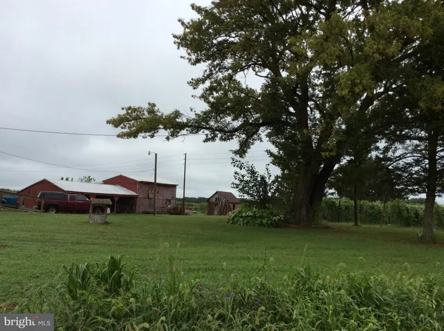 a view of a tree in front of a house with a yard