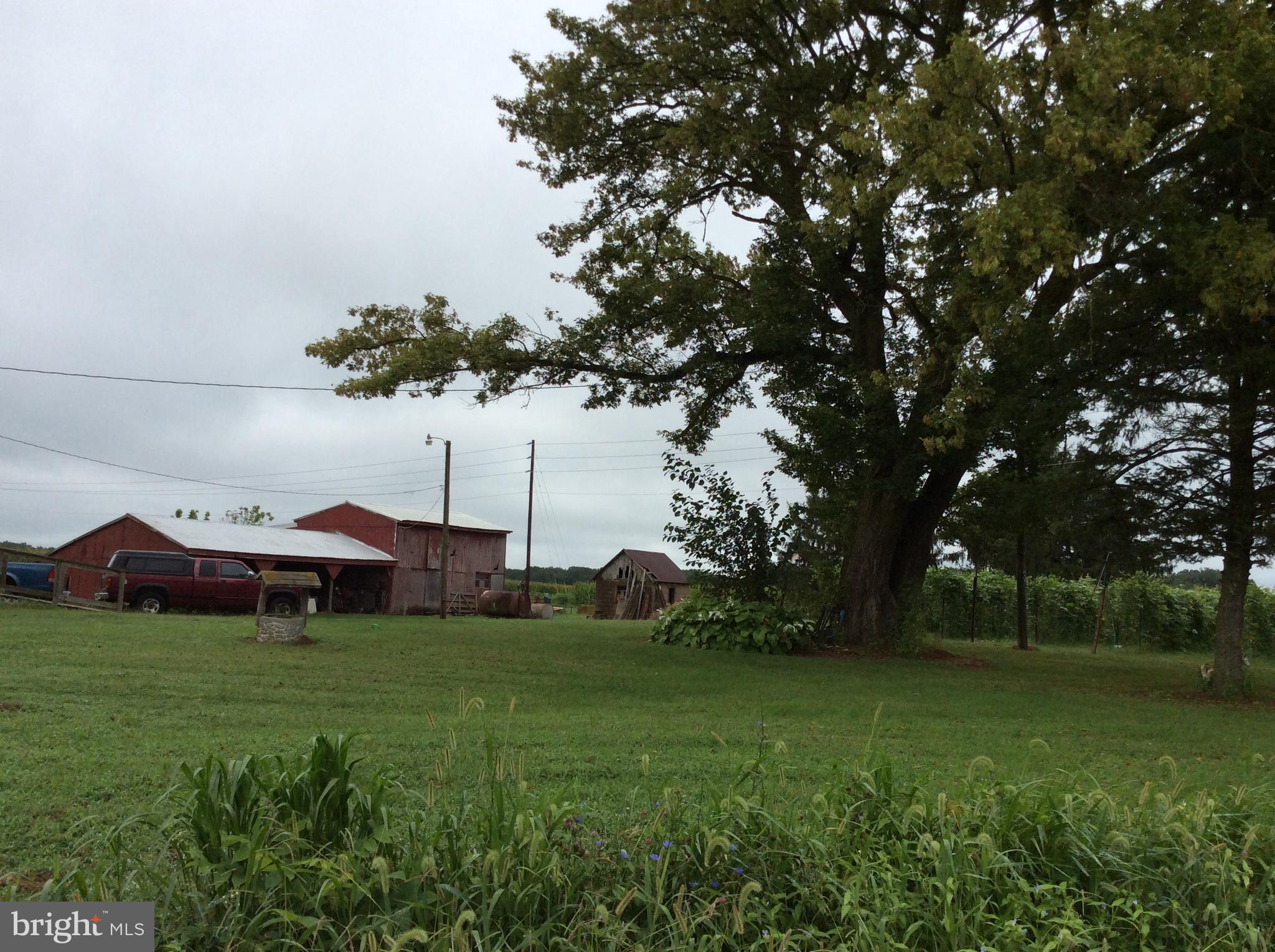 115 Shine Smith Road Chestertown, MD 21620 - Photo 9 of 10 a view of a tree in front of a house with a yard
