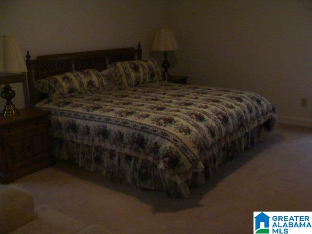 27 Old Stagecoach Road Woodstock, AL 35188 - Photo 9 of 18