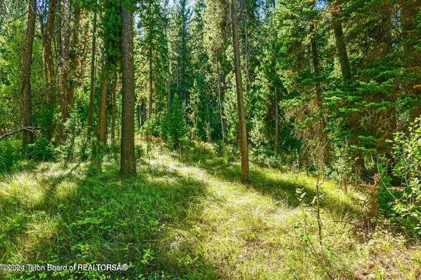 $5,999,800 | 6050 West - Road, Wilson, WY 83014