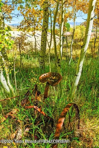 $6,100,000 | 6050 West - Road, Wilson, WY 83014