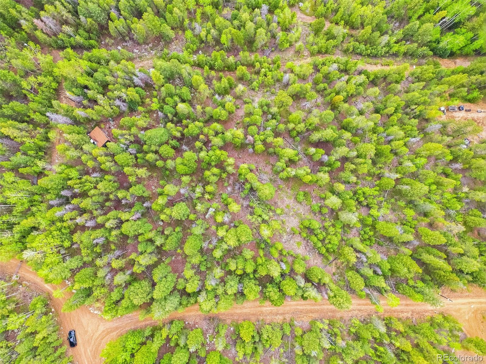 7903 Kunst Road Golden, CO 80403 - Photo 10 of 11 a view of a tree