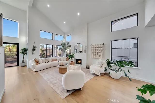 a living room with furniture potted plant and a mirror