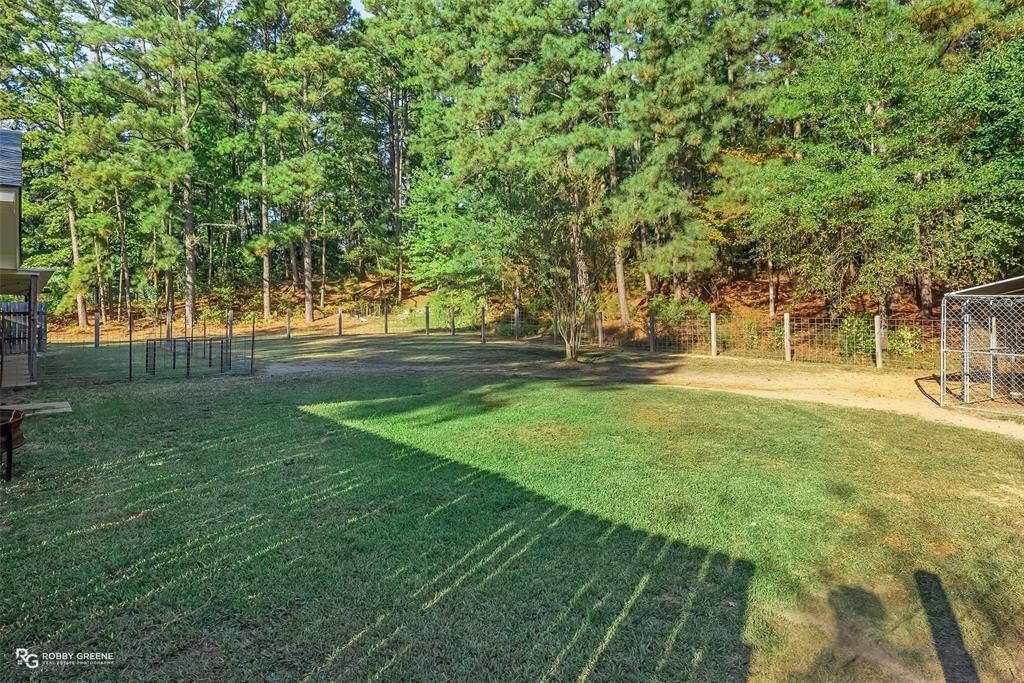 146 Bolinger Hill Road Plain Dealing, LA 71064 - Photo 30 of 32 a view of yard with tree s