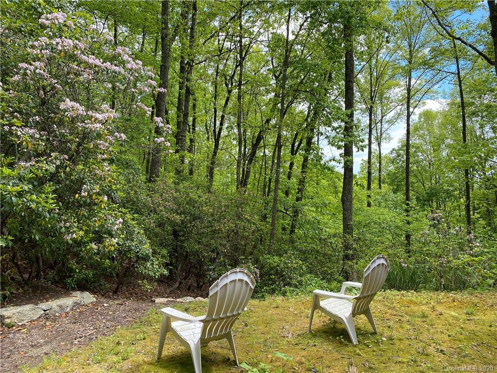 115 Little Cherokee Ridge Hendersonville, NC 28739 - Photo 39 of 48 Gallery Image 39