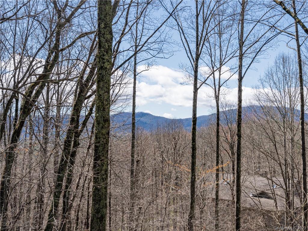 115 Little Cherokee Ridge Hendersonville, NC 28739 - Photo 46 of 48 Gallery Image 46