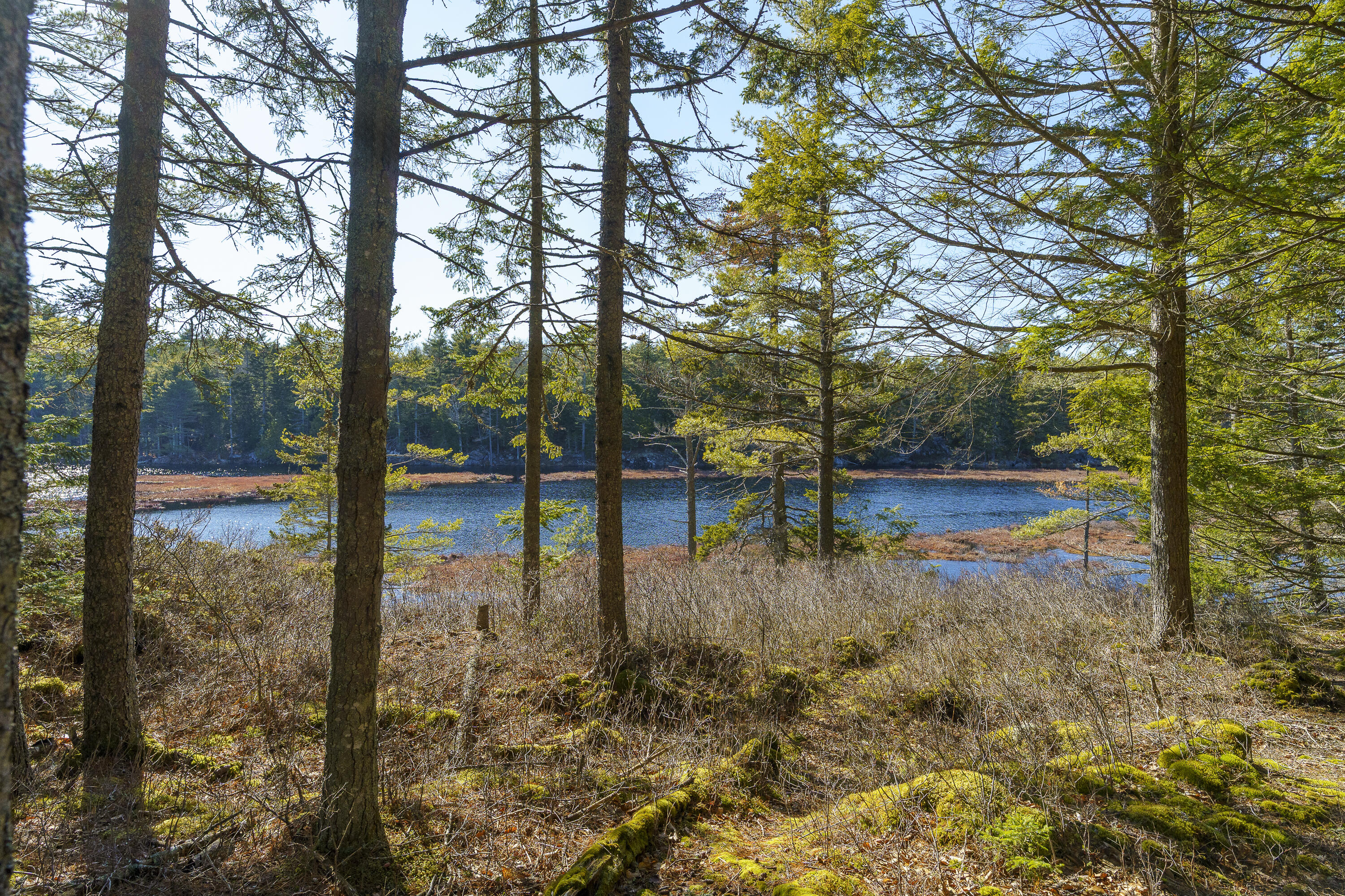 1357 Main Road Westport Island, ME 04578 - Photo 33 of 38