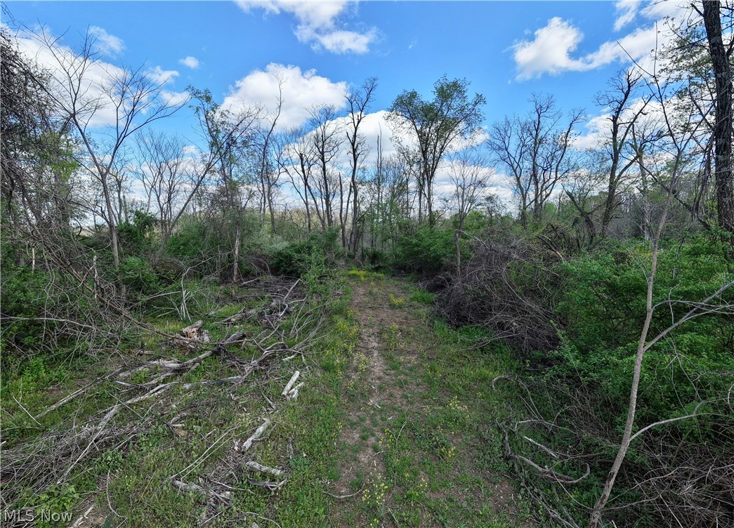 Deersville Ridge Road Cadiz, OH 43907 - Photo 28 of 41