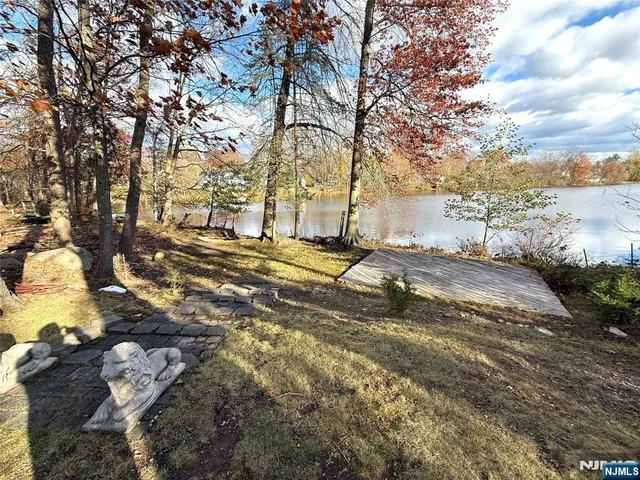 a view of a yard with plants and trees