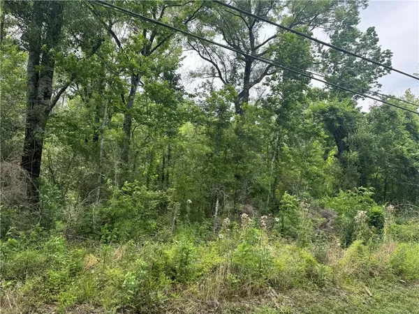 $40,000 | 12558 Central Avenue, Roseland, LA 70456