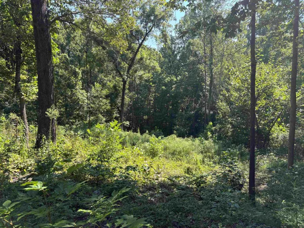 a view of a garden