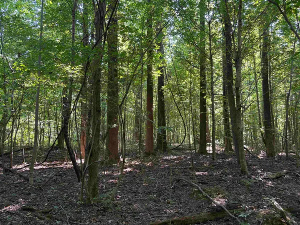 $95,000 | 0 North Watkins Road, Millington, TN 38053