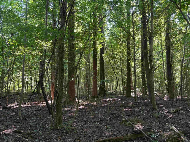 $139,000 | 0 North Watkins Road, Millington, TN 38053