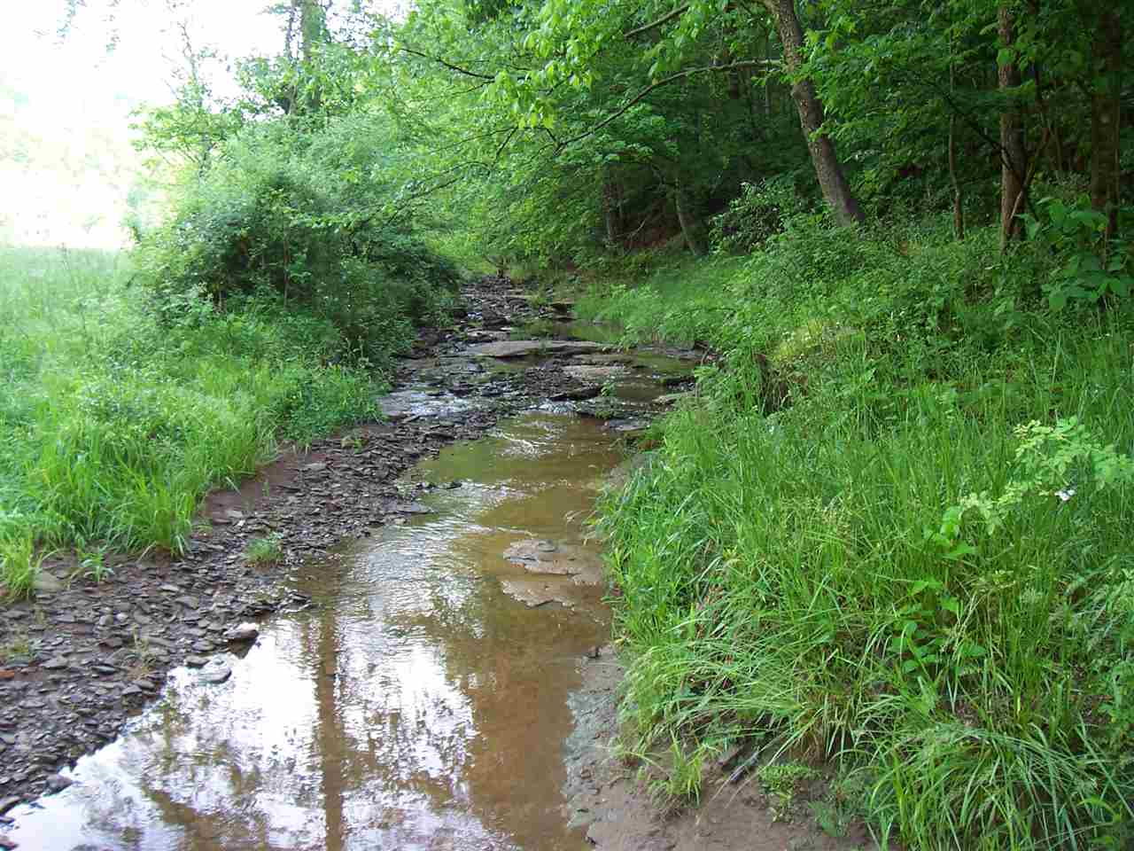 952 Gates Line Road Leon, WV 25123 - Photo 17 of 21 Gallery Image 17