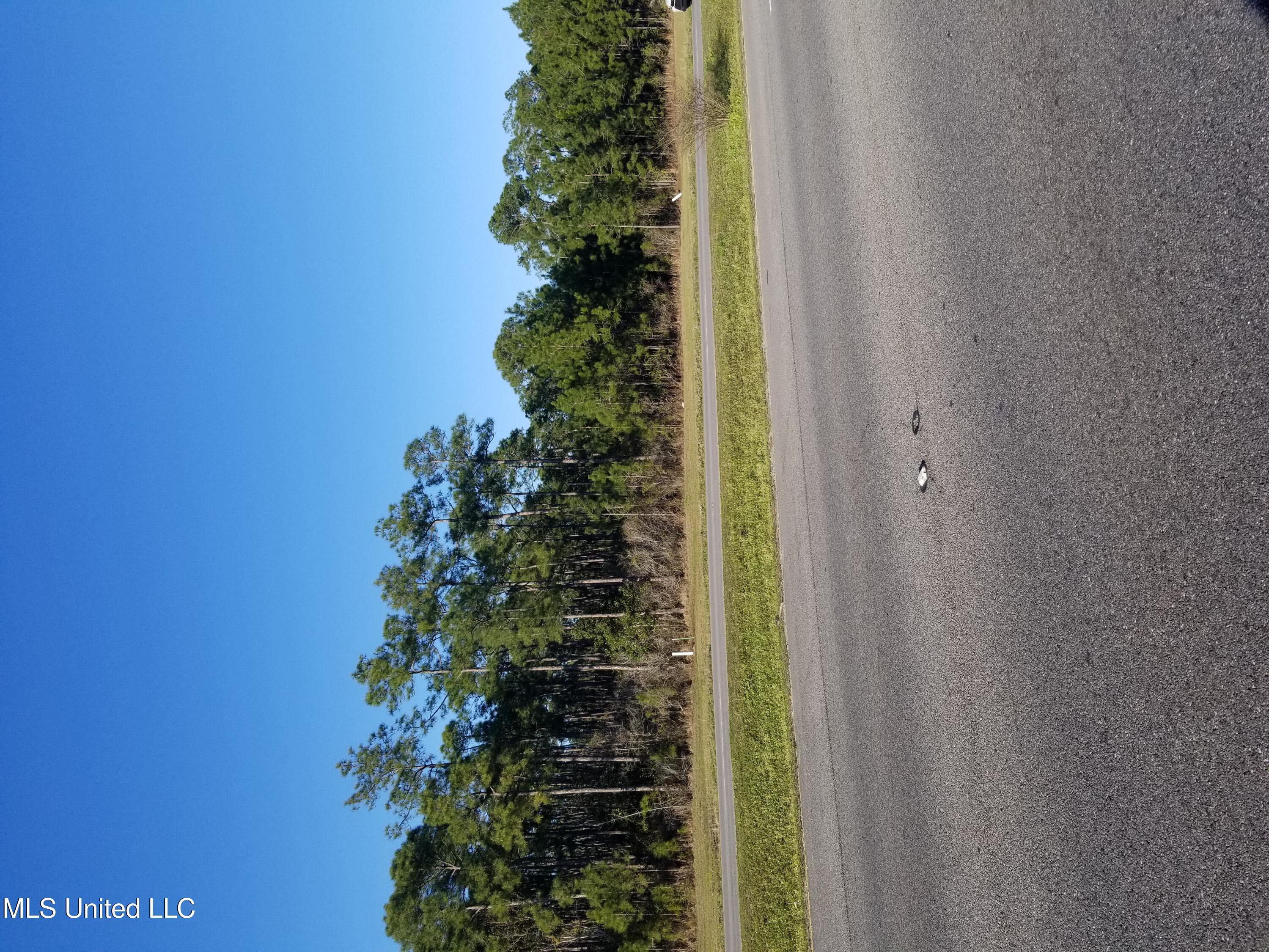 Ms-57 Highway Ocean Springs, MS 39564 - Photo 1 of 1 HWY 57 VIEW
