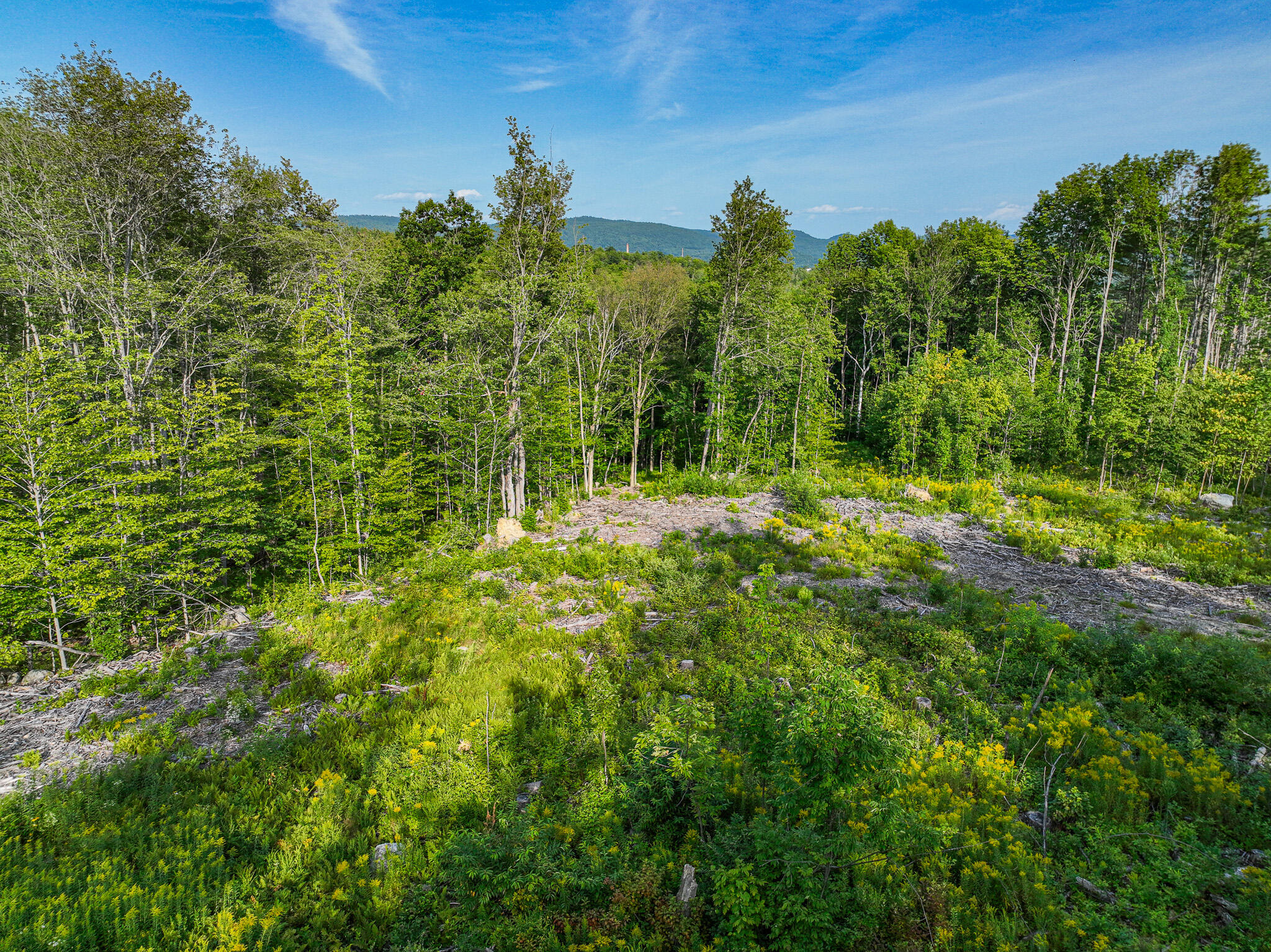 0 Swain Road Rumford, ME 04276 - Photo 4 of 19