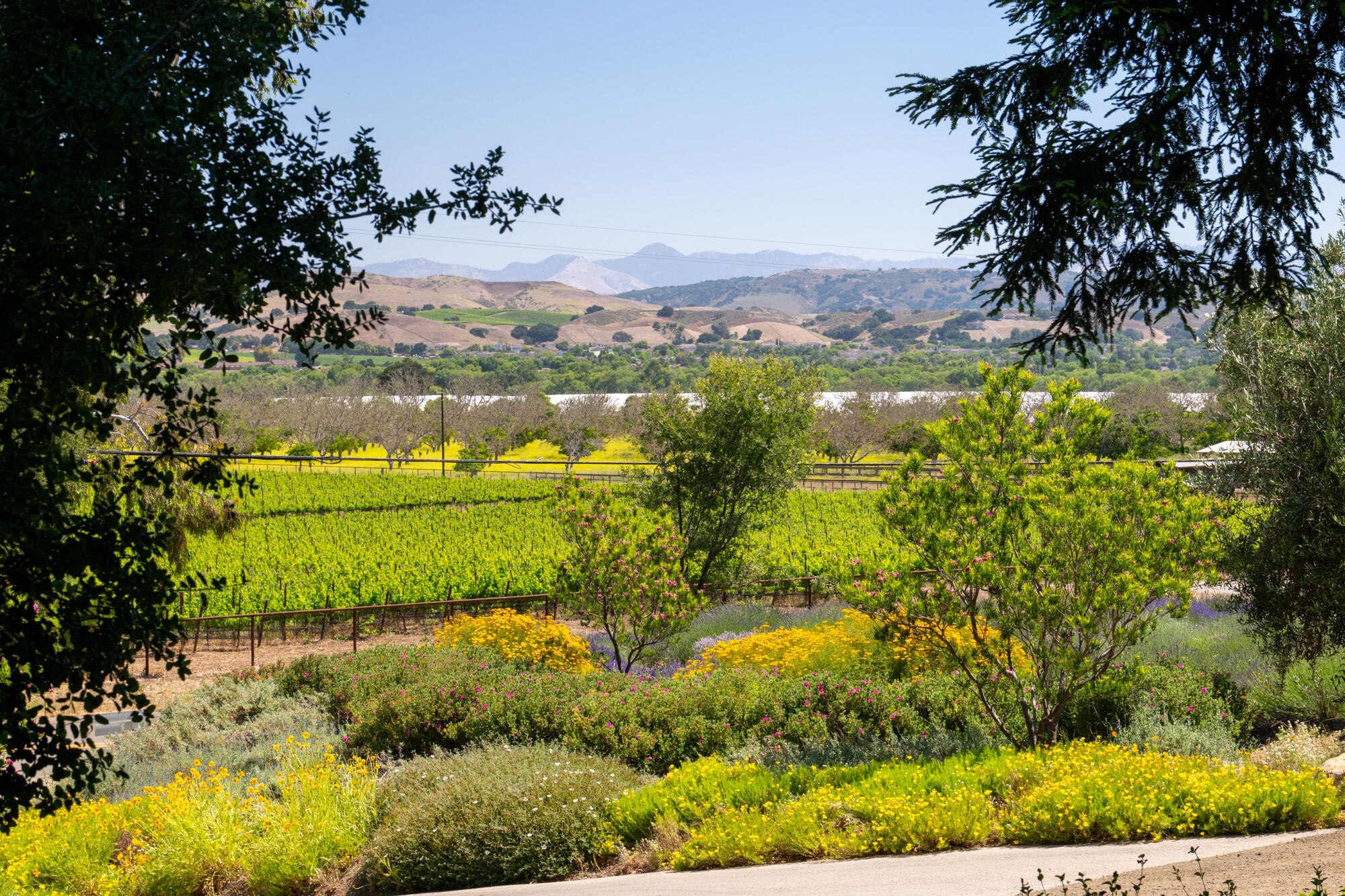 8630 Santa Rosa Road Buellton, CA 93427 - Photo 49 of 57 49