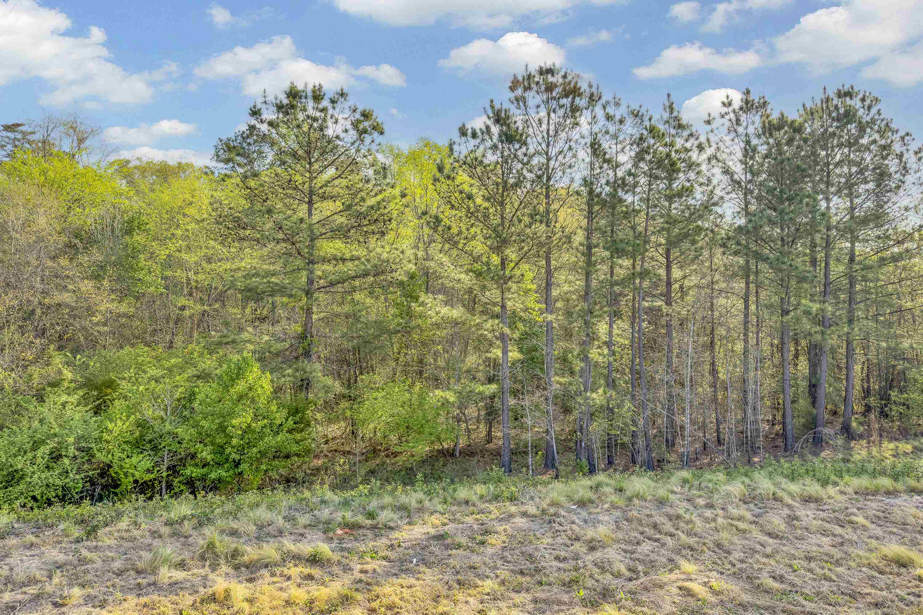 2258 Hemming Way Inman, SC 29349 - Photo 31 of 35