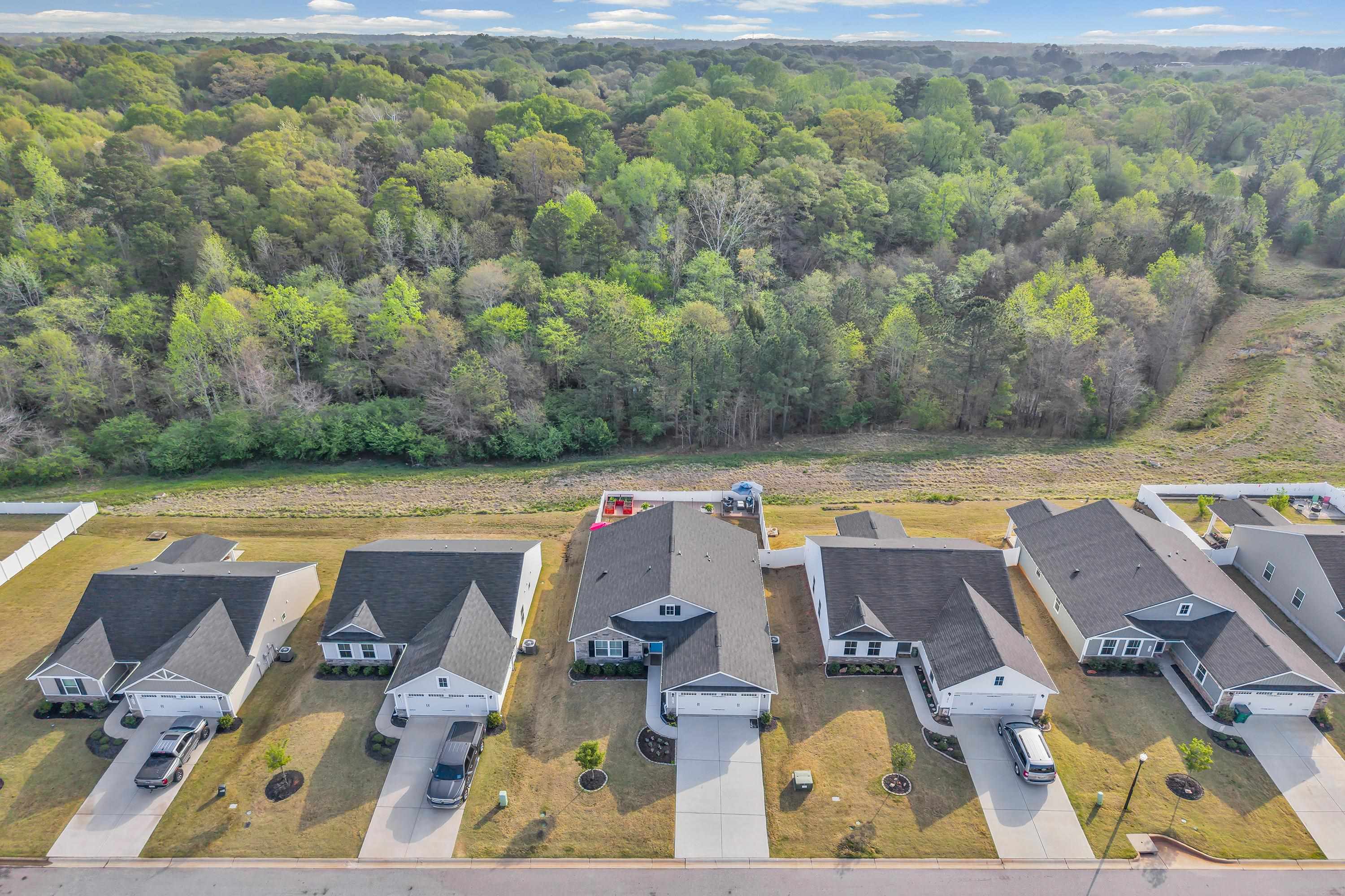 2258 Hemming Way Inman, SC 29349 - Photo 33 of 35