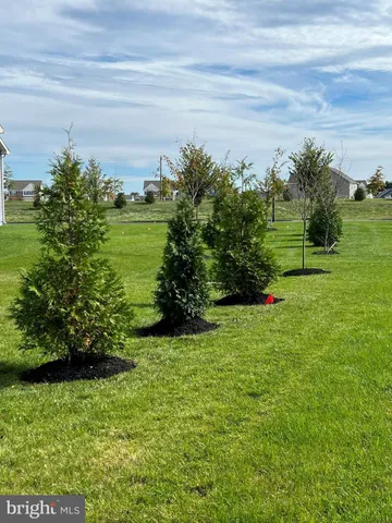 a view of a garden with a building in the background