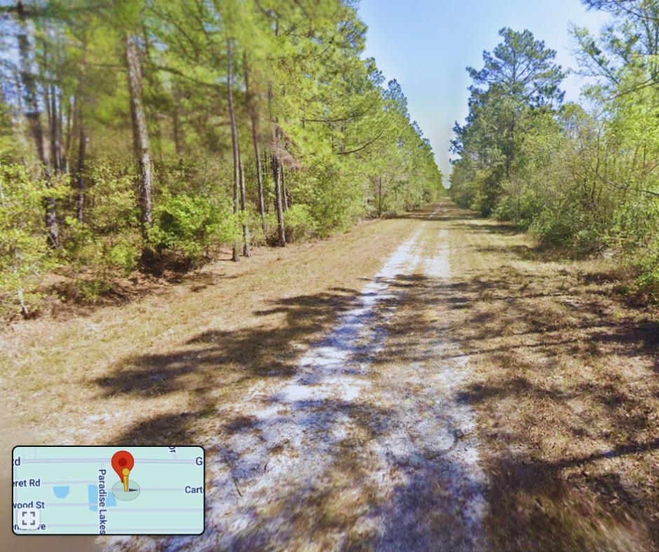 306 Carteret Road Georgetown, FL 32139 - Photo 3 of 4