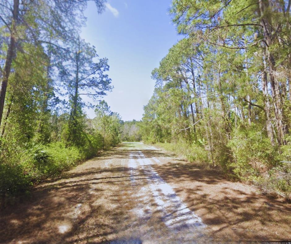 306 Carteret Road Georgetown, FL 32139 - Photo 4 of 4 a view of a yard with a tree