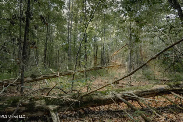 $35,000 | 0 Dog Pen Road, Durant, MS 39063