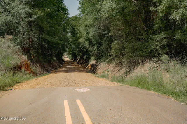 $42,000 | 0 Dog Pen Road, Durant, MS 39063