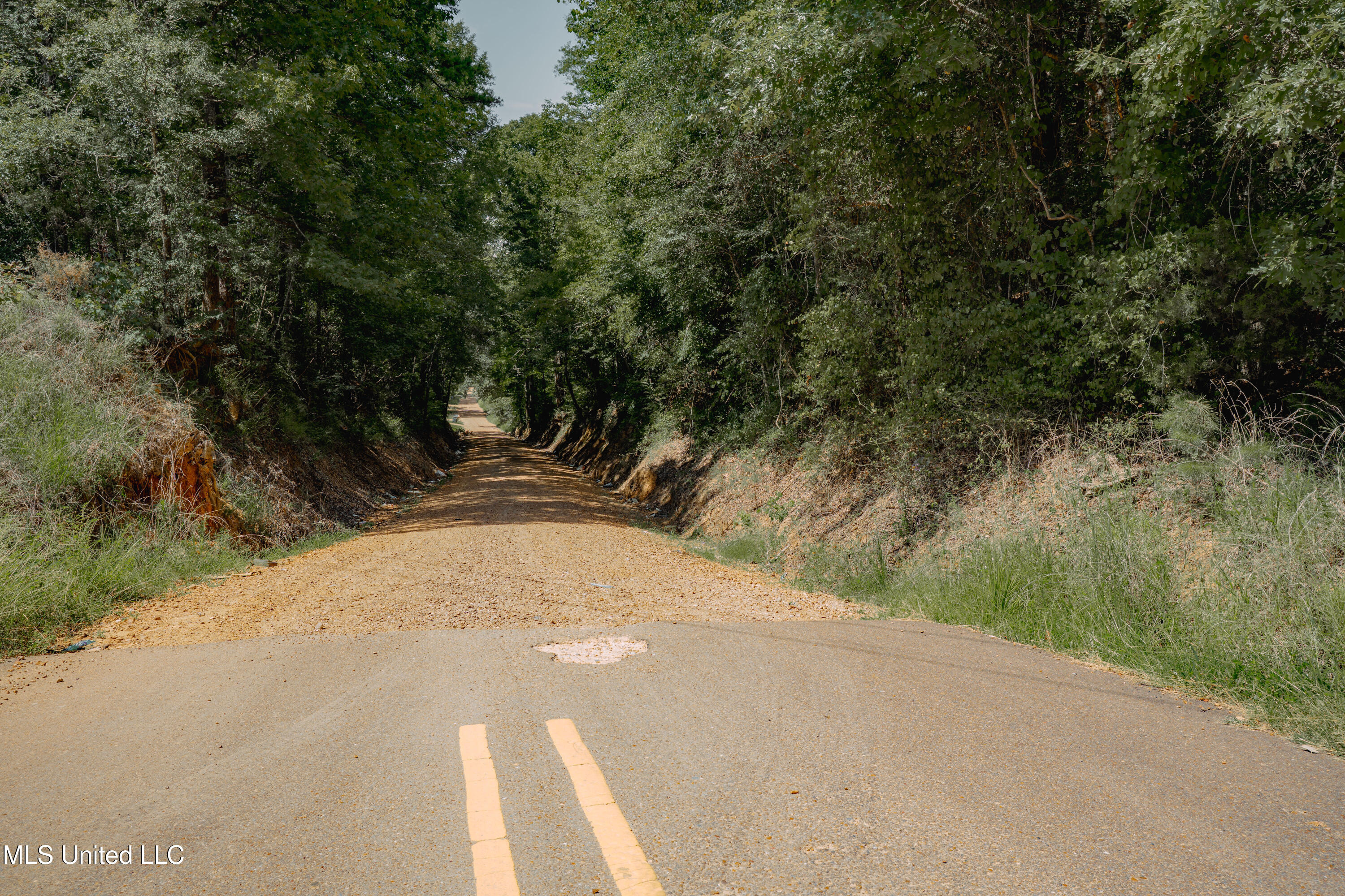 0 Dog Pen Road Durant, MS 39063 - Photo 2 of 13 70% Compressed-23